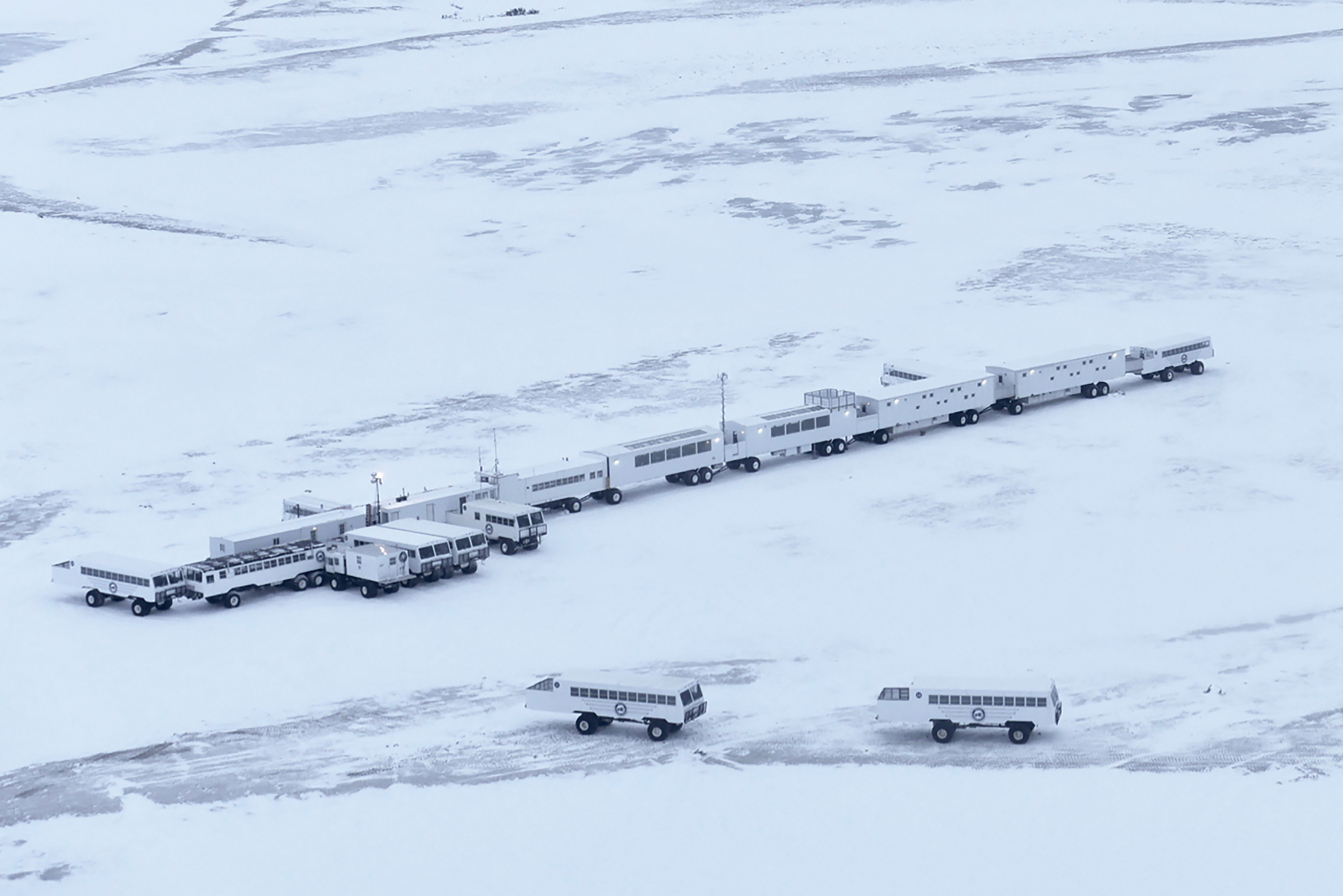 Photo from Tundra Buggy Lodge Town and Polar Bears safari tour
